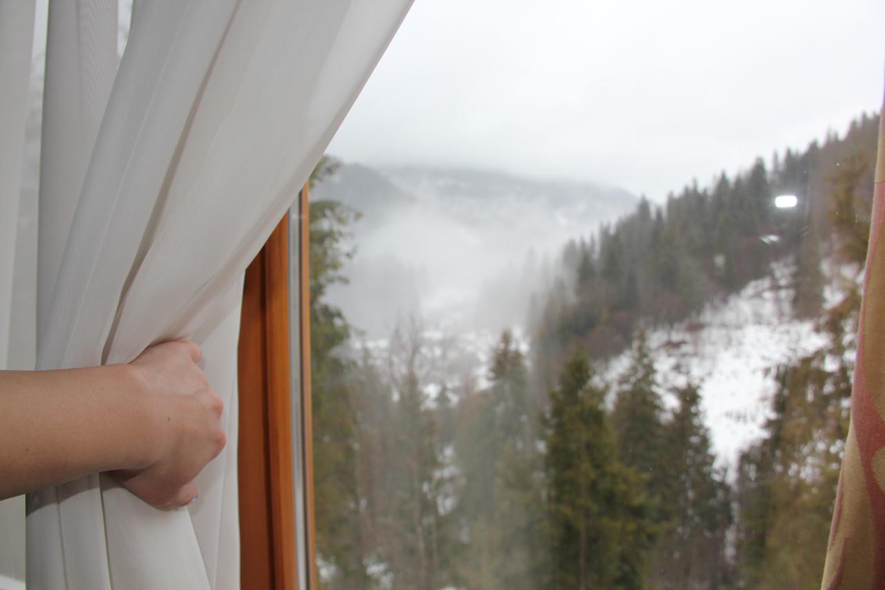 Na Gori Villa Slavske Eksteriør billede